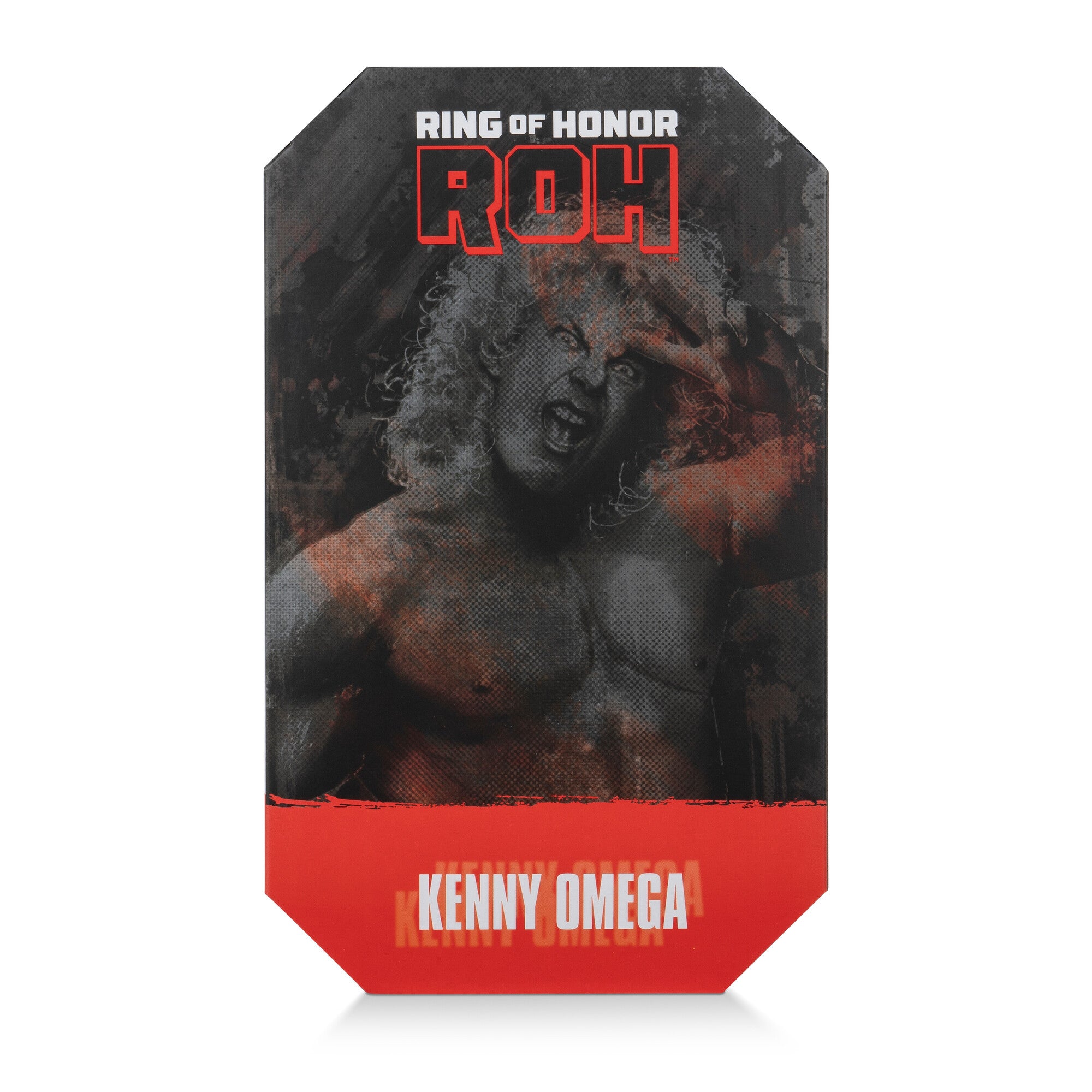 AEW0561-KennyOmega-DTCTheVault-IP-Cover-Back-lpr.jpg