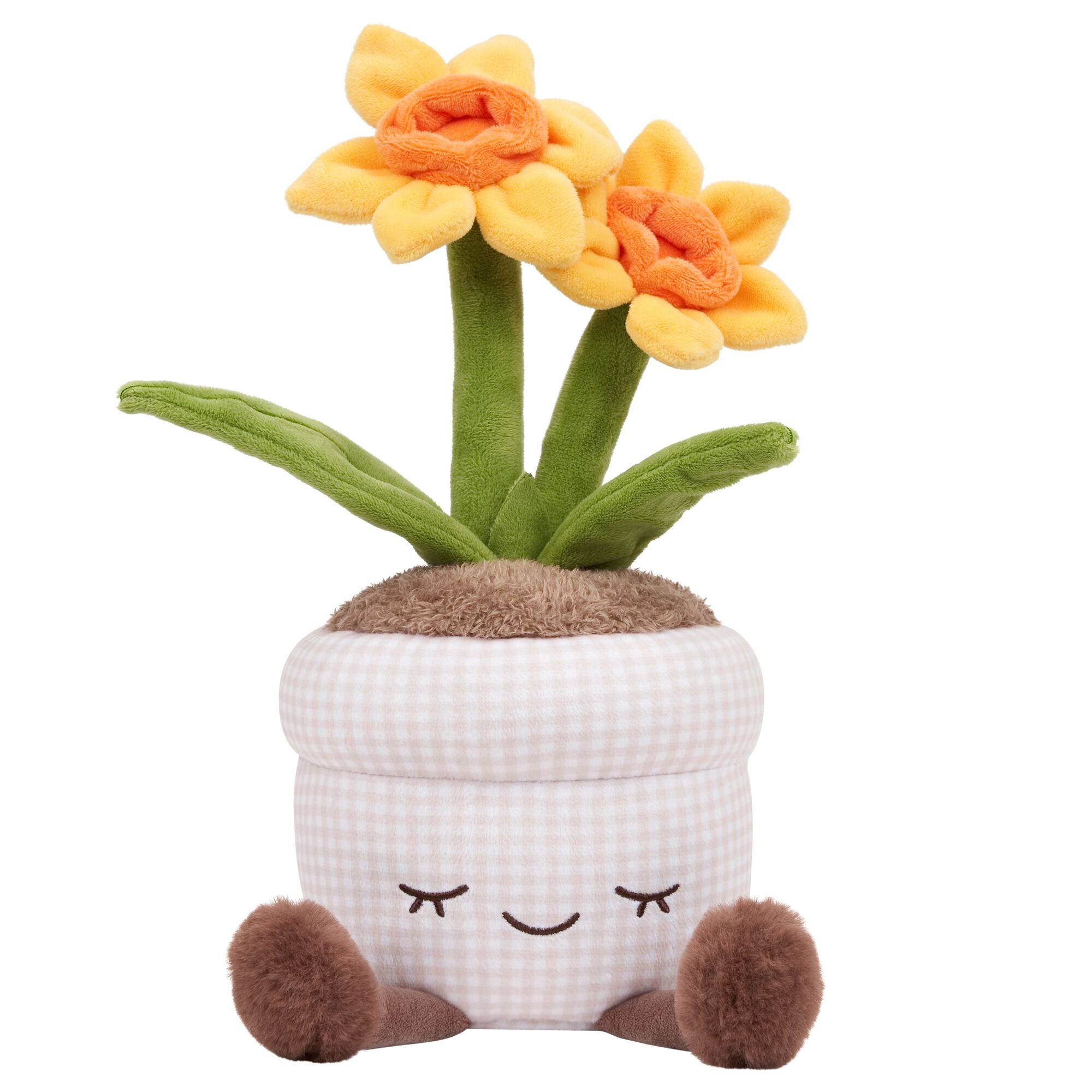 JPGOutput-RBGH00147_12inRussEasterDaffodilRecycled_OPF.jpg