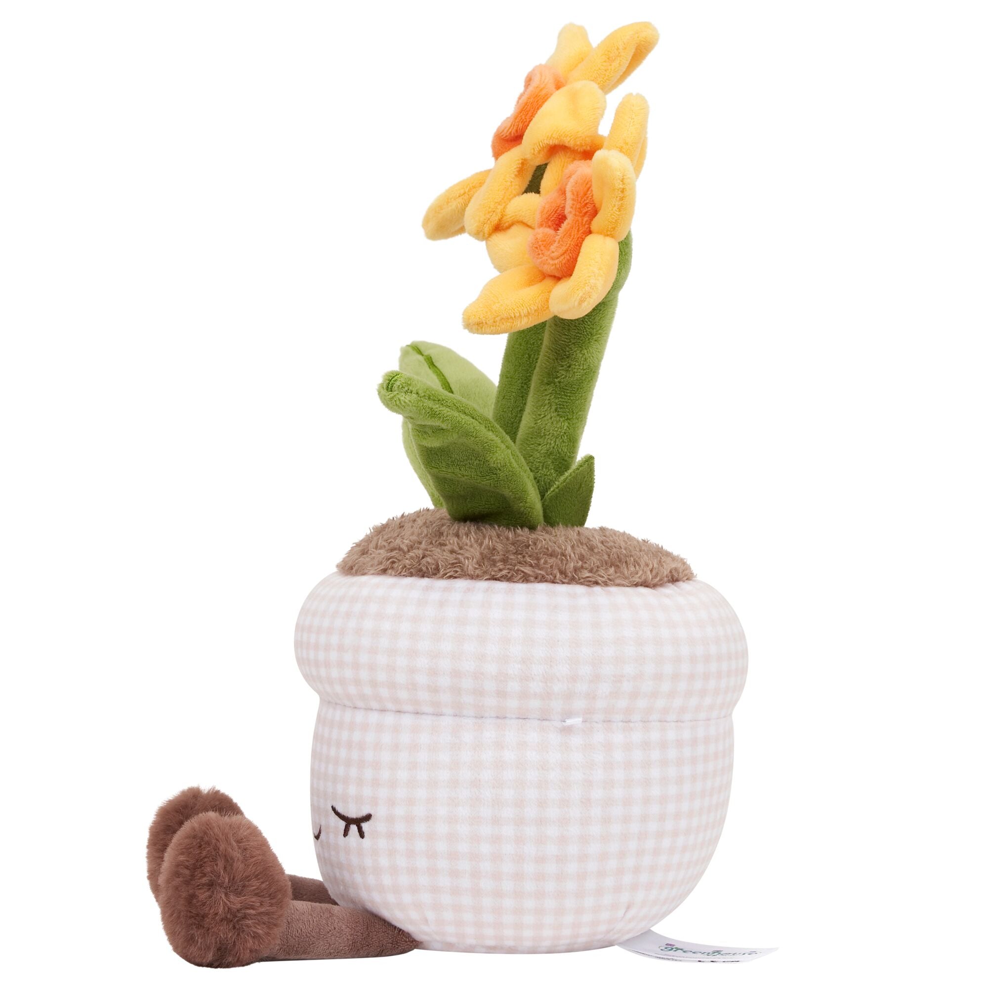 JPGOutput-RBGH00147_12inRussEasterDaffodilRecycled_OPL.jpg
