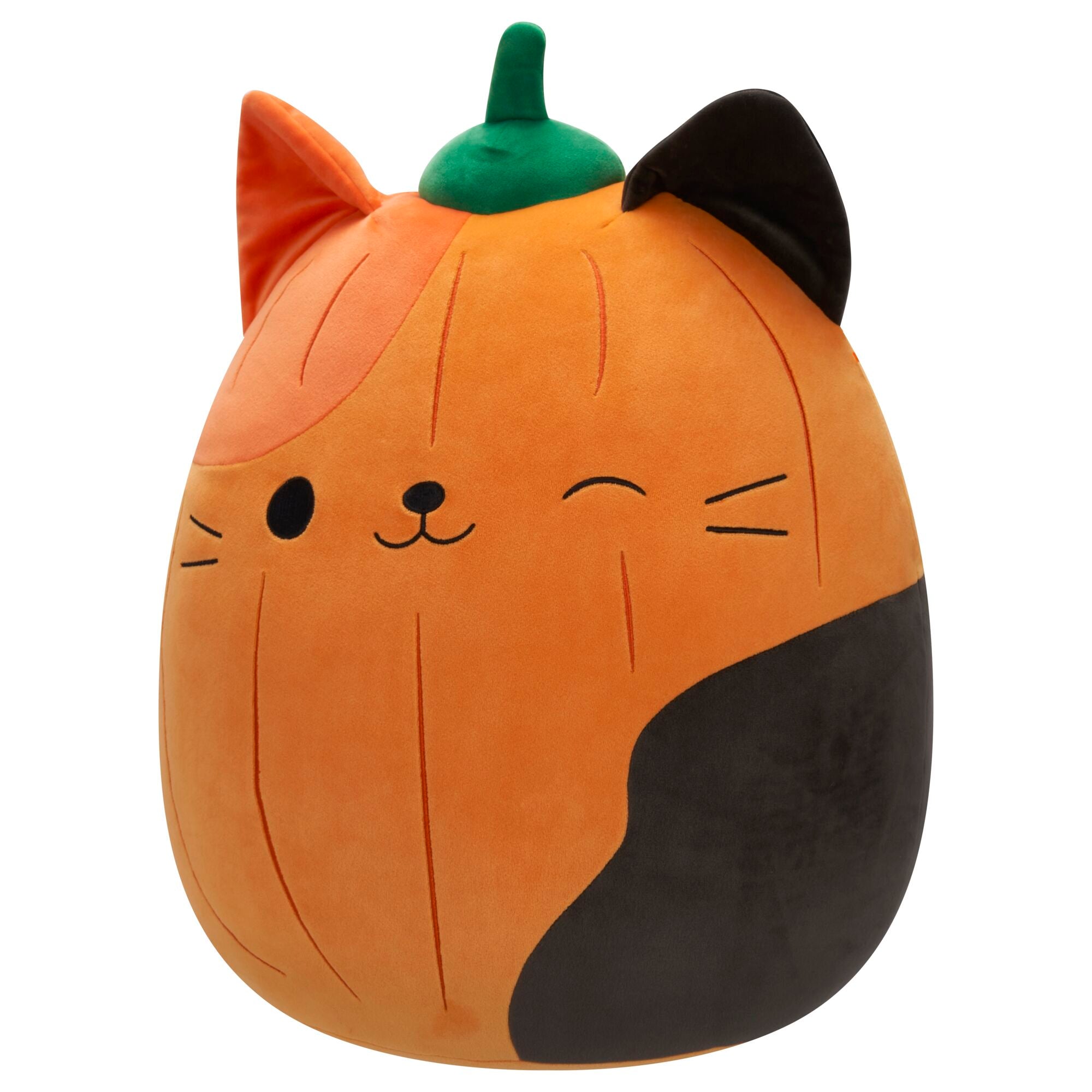 JPGOutput-SQHW01277_PumpkinCam_OP3QL.jpg