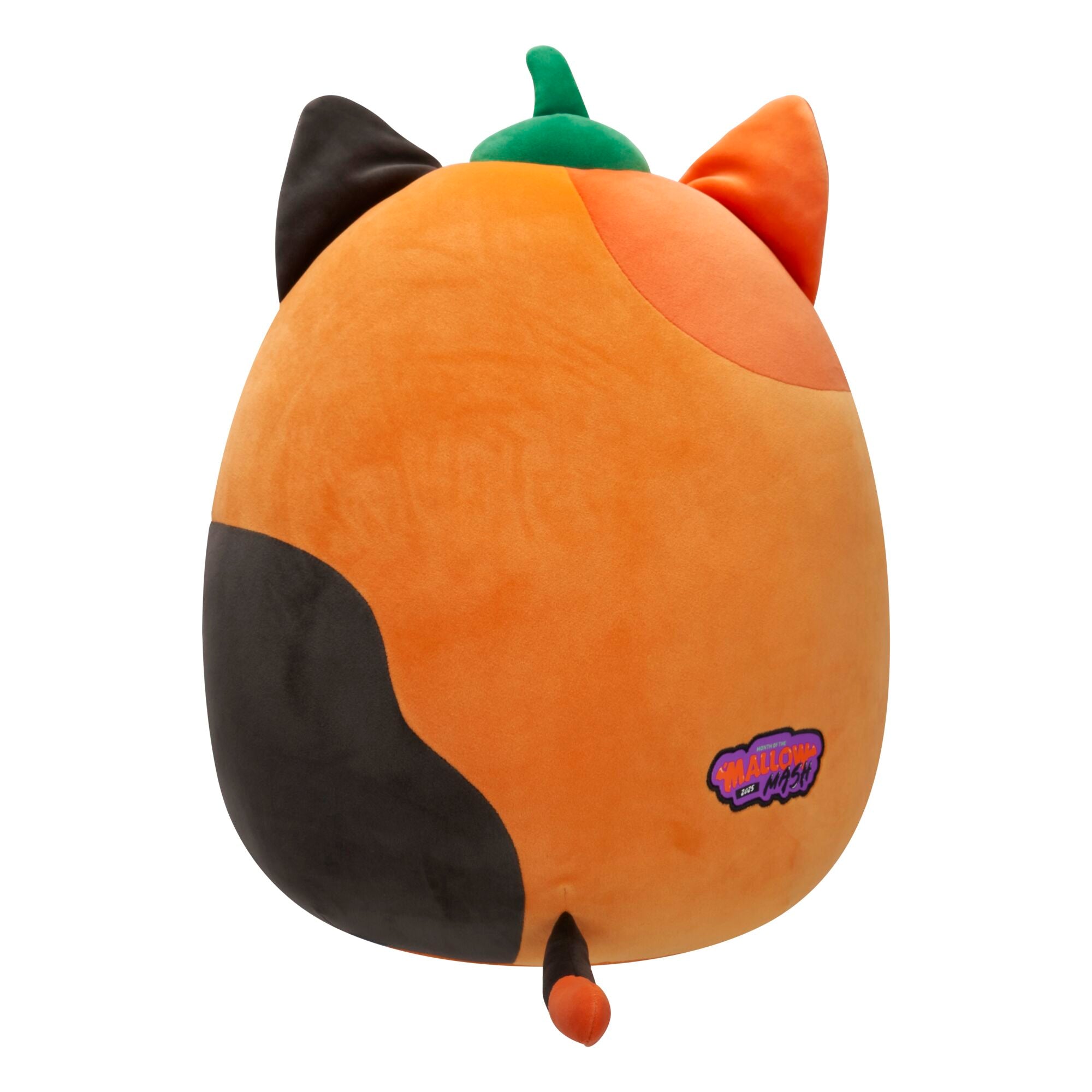 JPGOutput-SQHW01277_PumpkinCam_OPB.jpg
