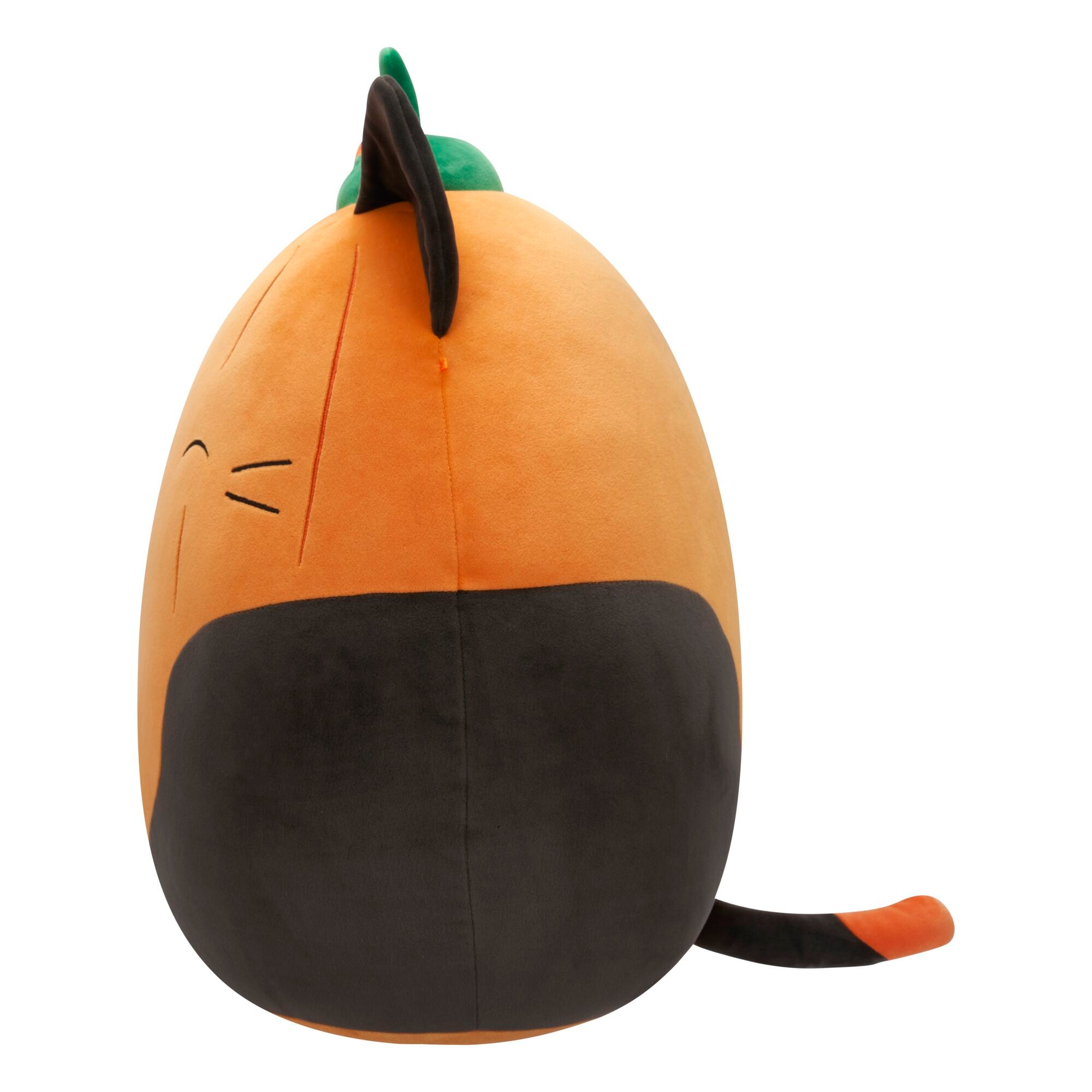JPGOutput-SQHW01277_PumpkinCam_OPSL.jpg