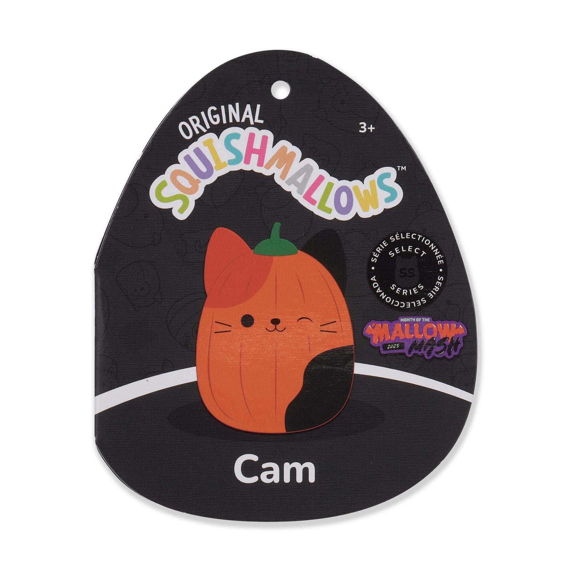 JPGOutput-SQHW01277_PumpkinCam_TF.jpg