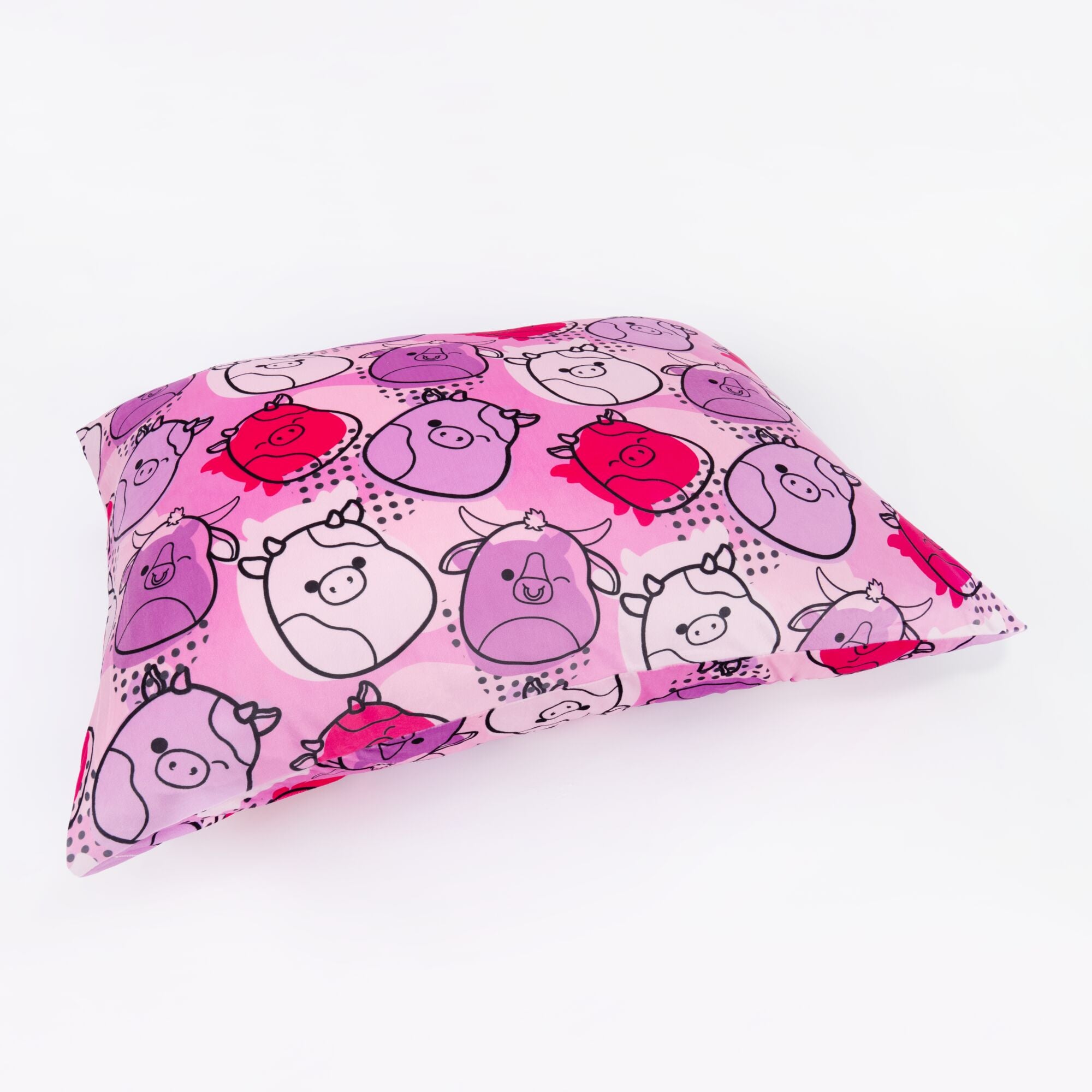 JPGOutput-SQPL00276_SquishPillows-ComicPop_OPF3.jpg