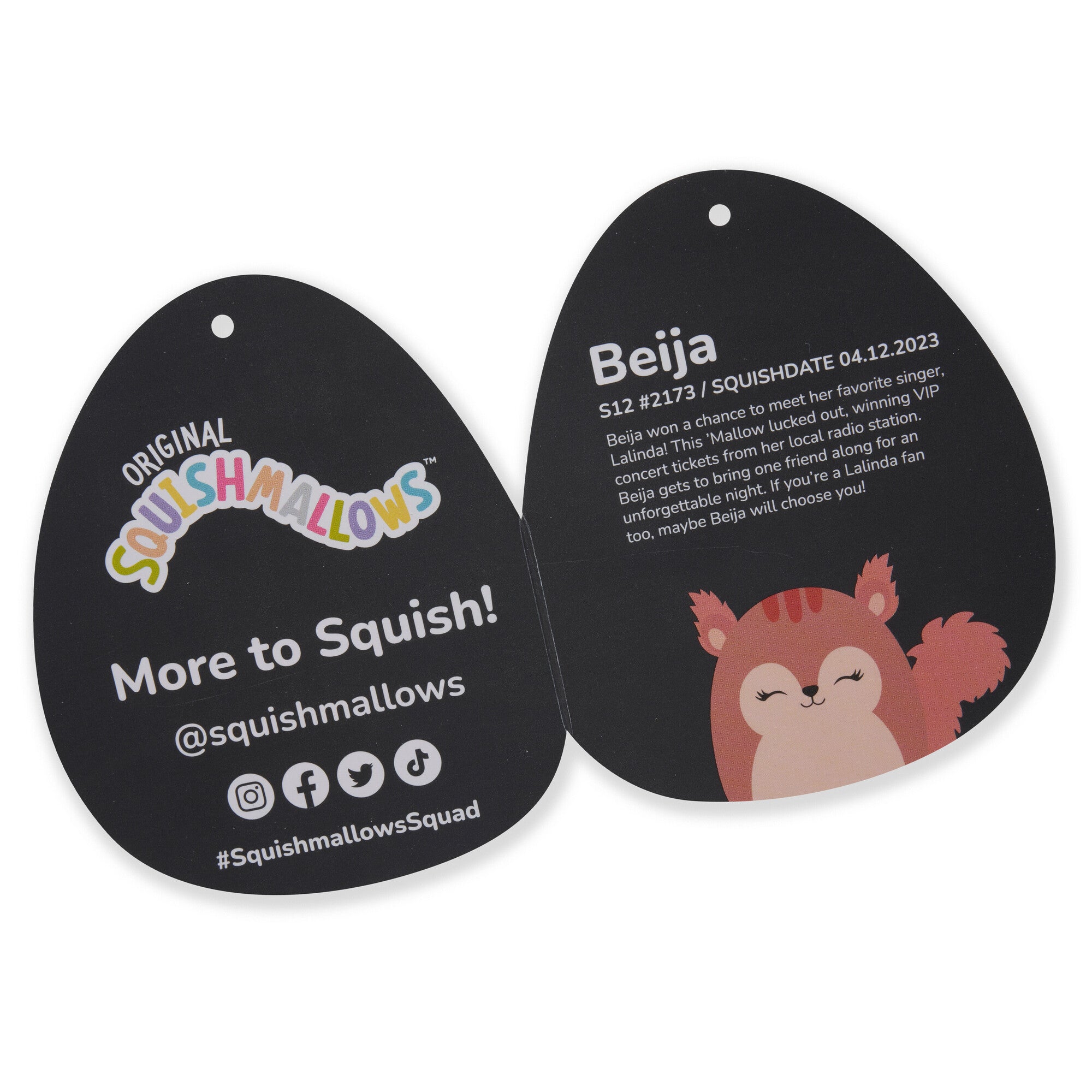 SQCR03980NewSQK-Squishmallows-12InchMediumPlush-RedSquirrel-SELECTSERIES-OP-Tag2-lpr.jpg