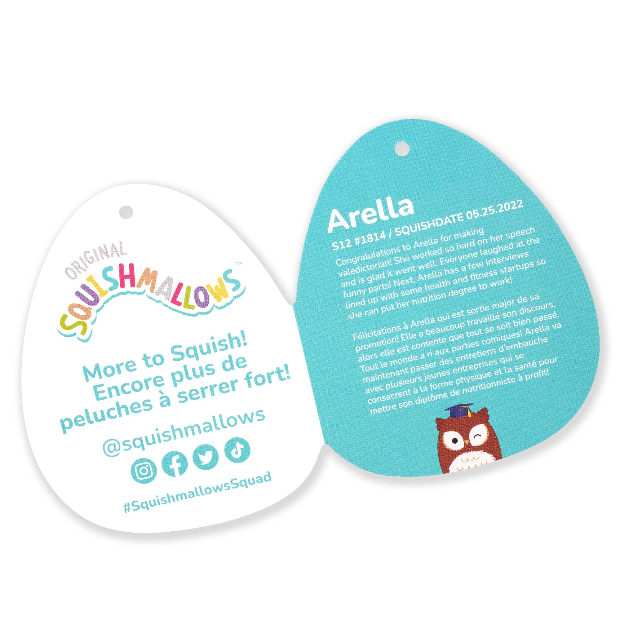 SQCR05852-Squishmallows-12InchMediumPlush-Arella-BrownOwlWGraduationCap-OP-Tagopen_lpr.jpg