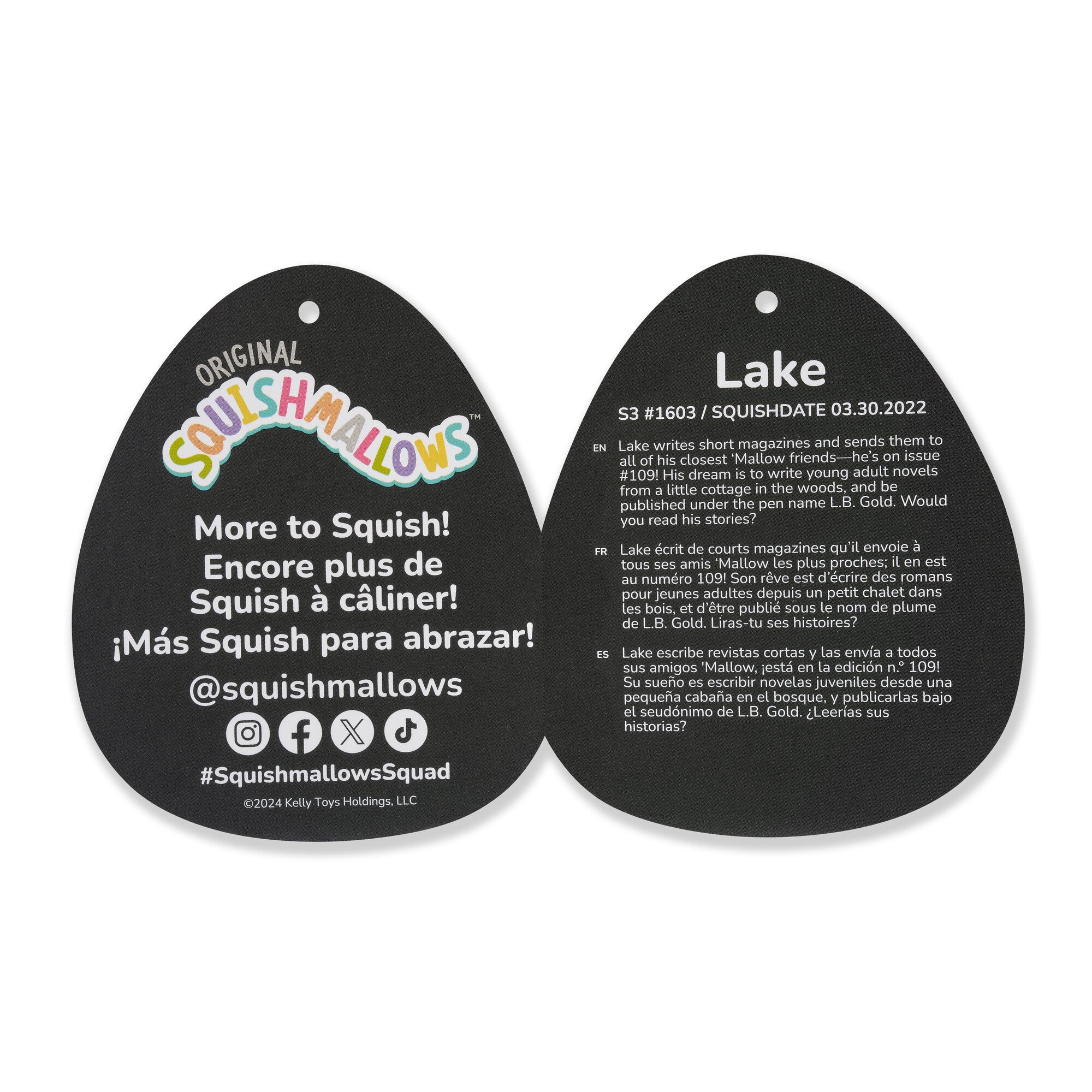SQCR06403-Lake-Tag2-lpr.jpg