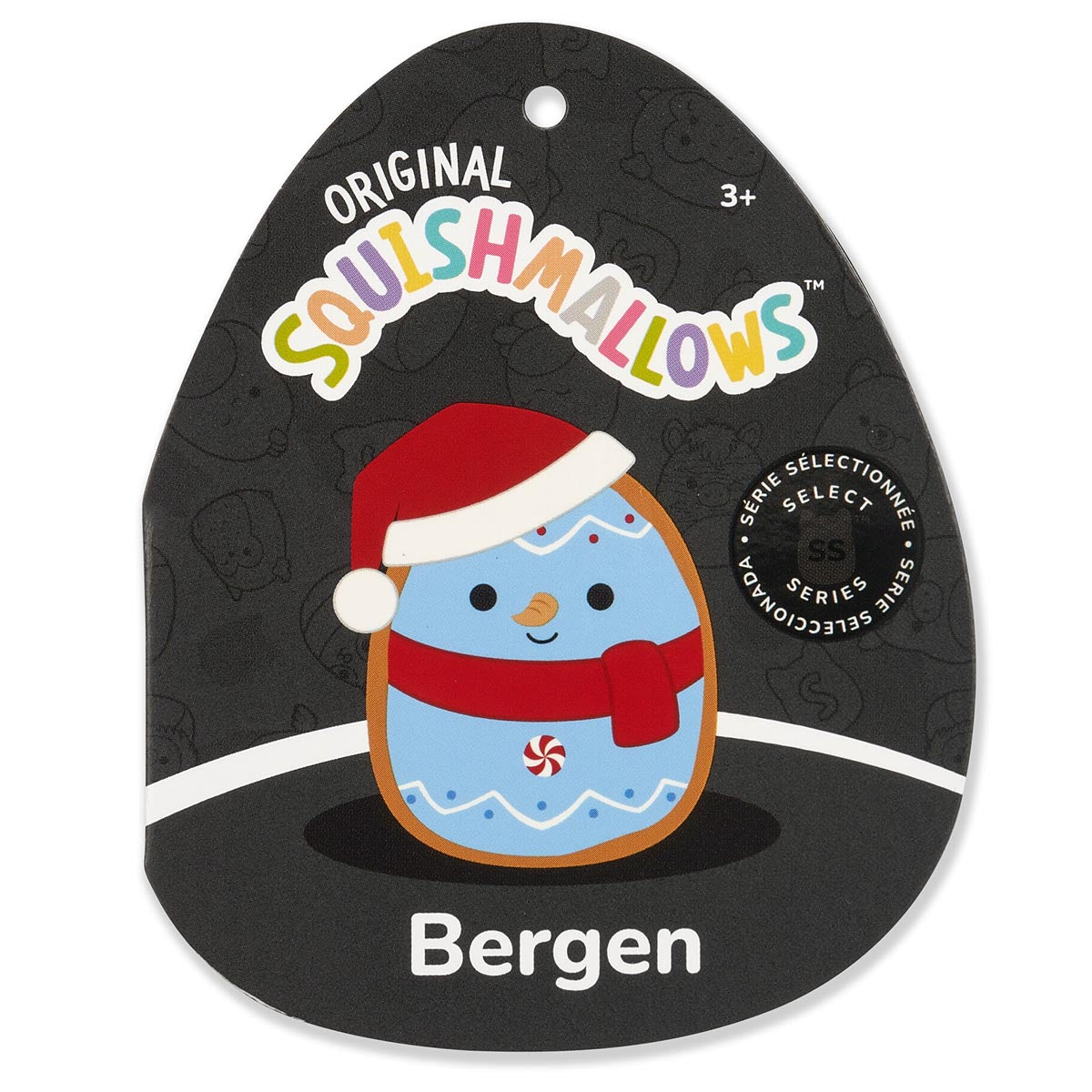 SQCR06418-Bergen-Tag_lpr.jpg