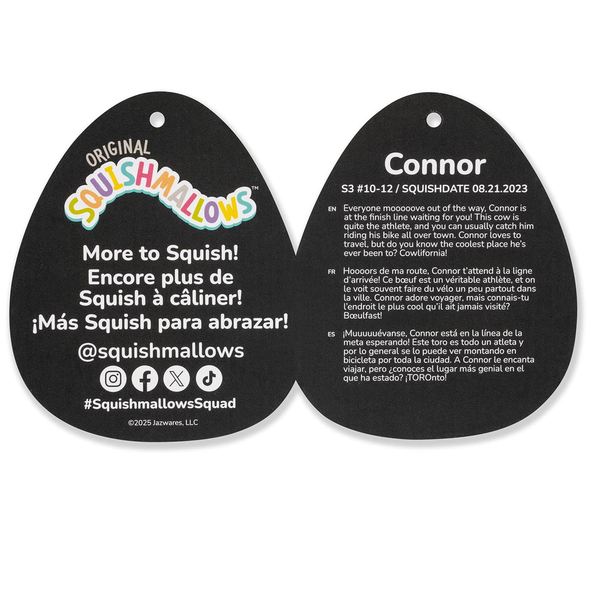 SQCR07529_3.5in_Connor_SparklePatches_TO_lpr.jpg