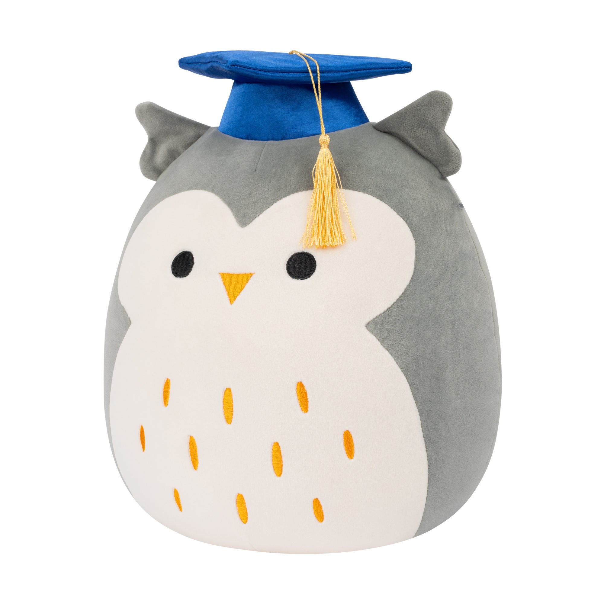 SQCR09742_12in-Hoot-Grey-Owl-with-Blue-Graduation-Cap_OP3QL.jpg