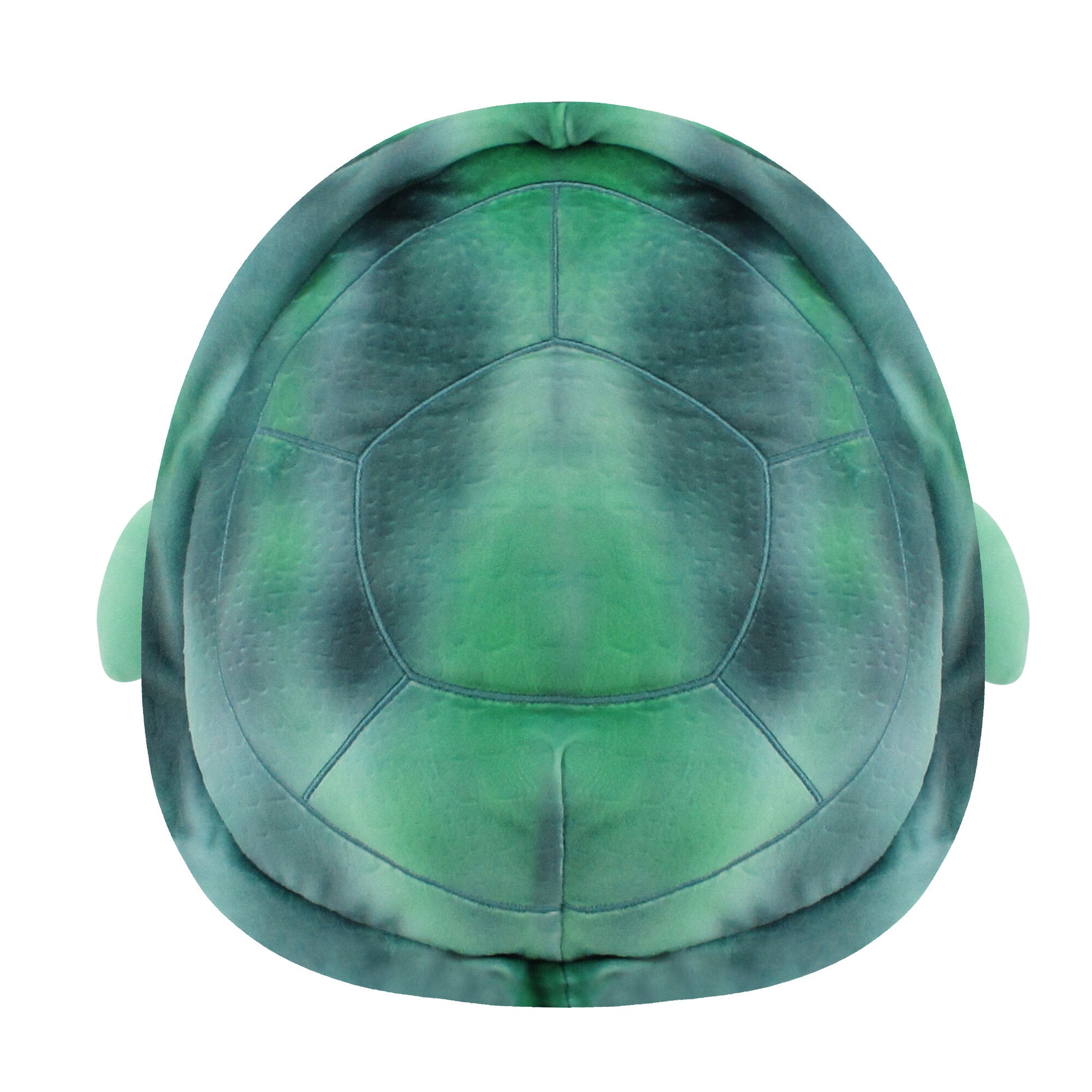 SQFP00054_New_SQK-MediumPlush-12_SealtoSeaTurtle-Back2-lpr.jpg