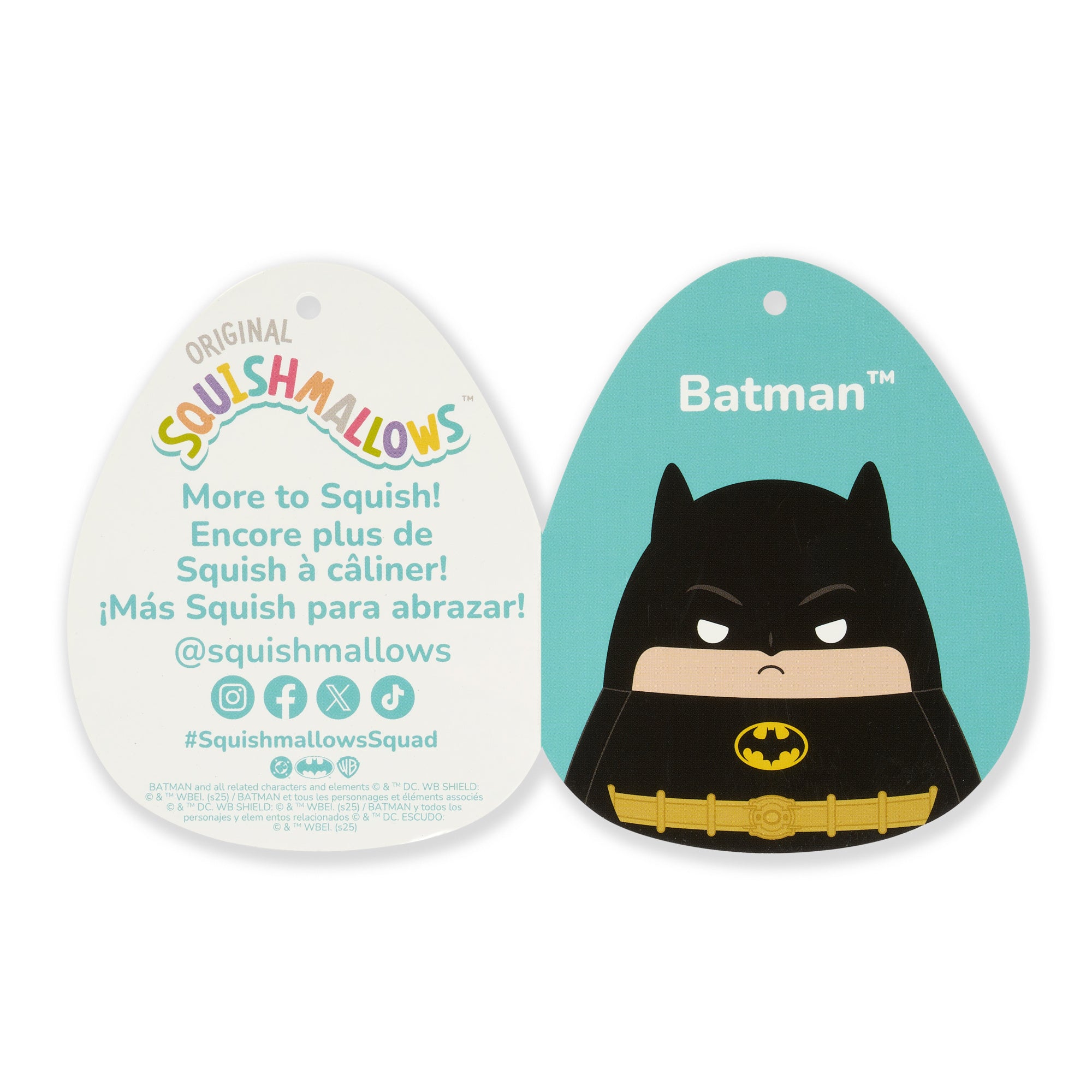 SQWB00464_Squishmallows-12in-Medium-Plush-WB-DC-Batman-Batman-Black_TAG2-png.jpg