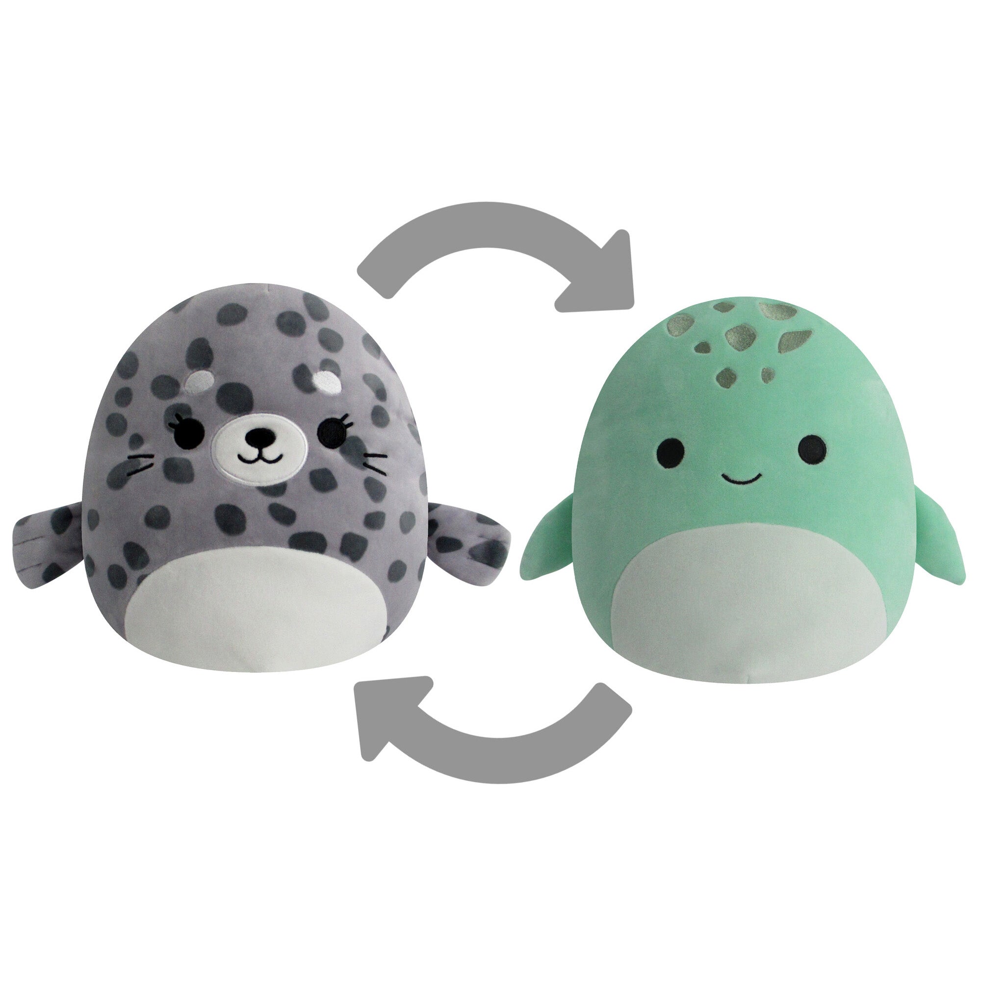 SealtoSeaTurtleFlipreferenceimage-lpr.jpg