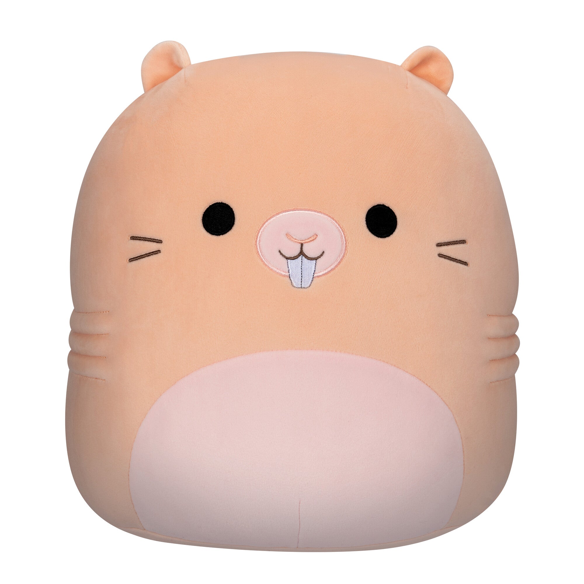 Squishmallows-MediumPlush_12_Squishmallows_-NakedMoleRat-SQCR03049-Front-lpr.jpg
