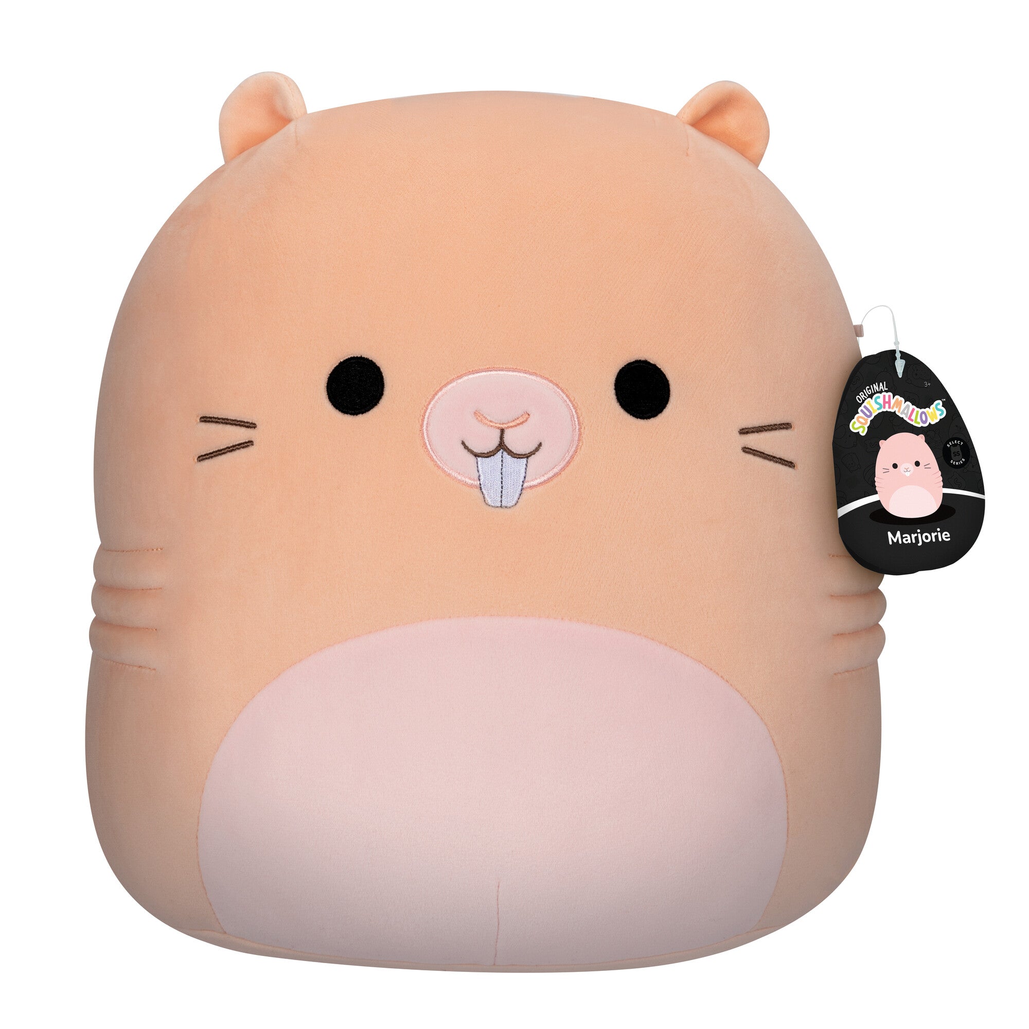 Squishmallows-MediumPlush_12_Squishmallows_-NakedMoleRat-SQCR03049-FrontwTag-lpr.jpg